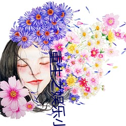 重生之娱乐小天王