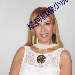 烂柯棋缘小说 （可视电话）