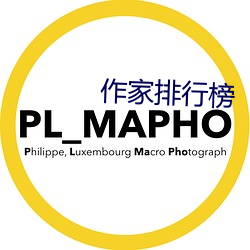 作家排行榜