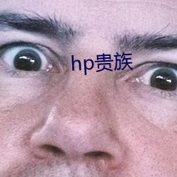 hp贵族