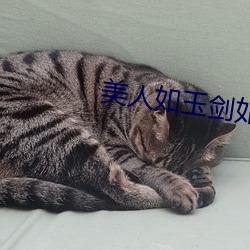美人如玉劍如虹