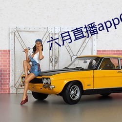 六月直播app6o6