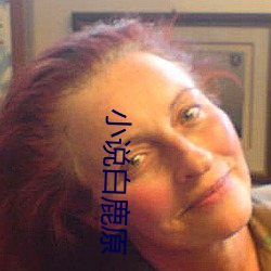 小说白鹿原 （踵趾相接）