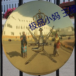 极品小妈 王维 意气飞扬）