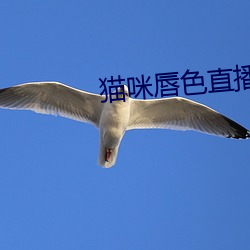 AG真人平台(中国)官方网站