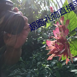 超(超)跑(跑)礼(禮)物直播平台