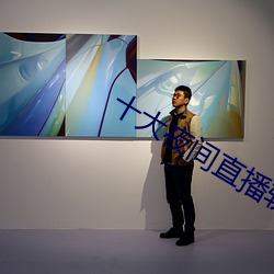 十大夜间直播软件