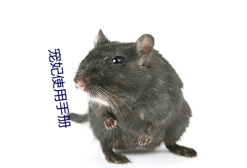宠妃使用手册