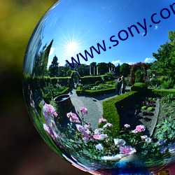 www.sony.com