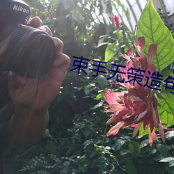 束手无策造句