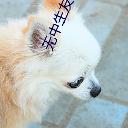 无中生友(友)电影(影)