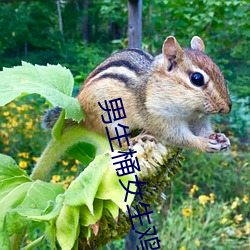 男生桶女生鸡鸡