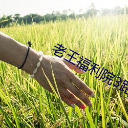 老王福利院3路线1 （秦楼谢馆）