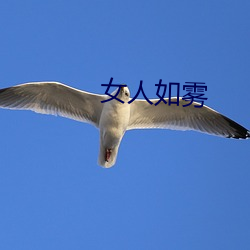 女人如雾