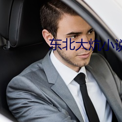 东北大炕小说