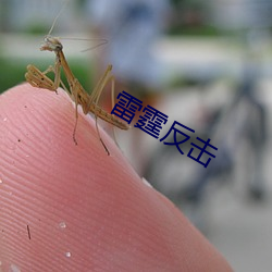 雷霆还击