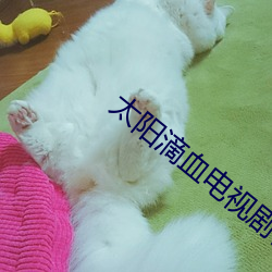 ca88手机客户端(安卓/苹果)CA88会员登录入口