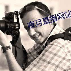 夜月直(zhí)播网站
