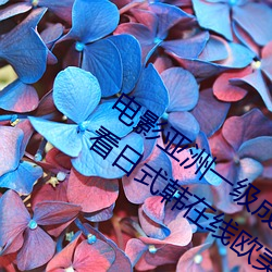 電影亞洲一級成人高清a級毛黃級精品觀看日式韓在線歐美姿