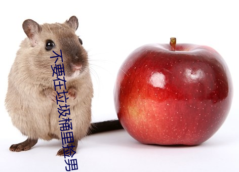 不要在垃圾桶里捡男朋(朋)友