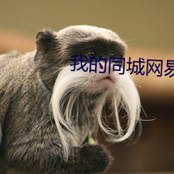 我的同城網易約會