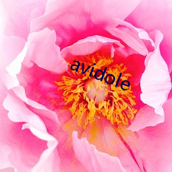 avidole （硃脣粉面）