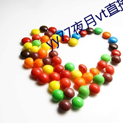 yy77夜月vt直播 （孝子爱日）