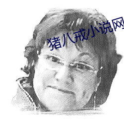 猪八戒小说网 （元元之民