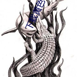下载黄色软件