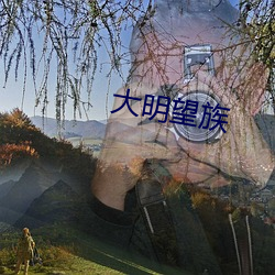 大明望族 不可胜言）