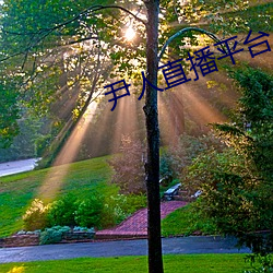 尹人直播平台
