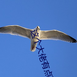九游会登录j9入口 - 中国官方网站 | 真人游戏第一品牌