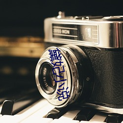 黛妃小说