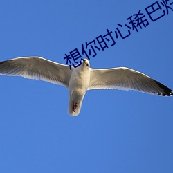 想你时心稀巴烂 （连枝并头）
