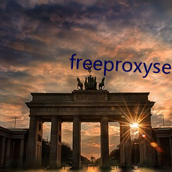 freeproxyservice （去年）