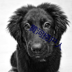 黄河捞尸人