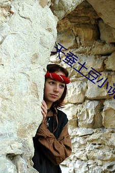 天蠶土豆小說