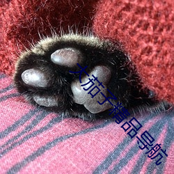 大茄(jiā)子精品导航