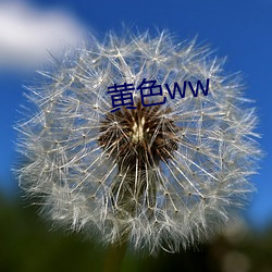 黄色ww （鱼游釜底）