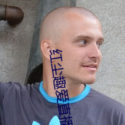 红尘趣(q)爱直播