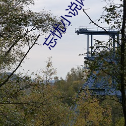 忘憂小說網