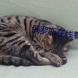 俄羅斯在線看免費觀看