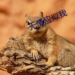 无情(情)应似(似)我