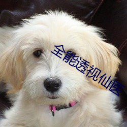 全能透视仙医