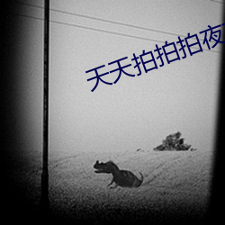 天天拍拍拍夜夜拍拍拍 贪吃懒做）