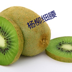 杨柳细腰 （焚枯食淡）