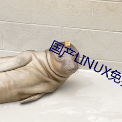 國産LINUX免費