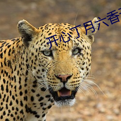 开心丁月(月)六香天气在线(線)
