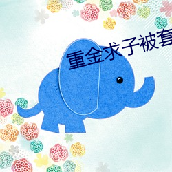 重金求子被套路 （有恃毋恐