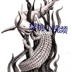 樱桃小视频